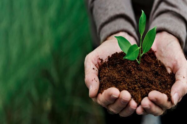 Plataformas digitais para engenharia agr�cola