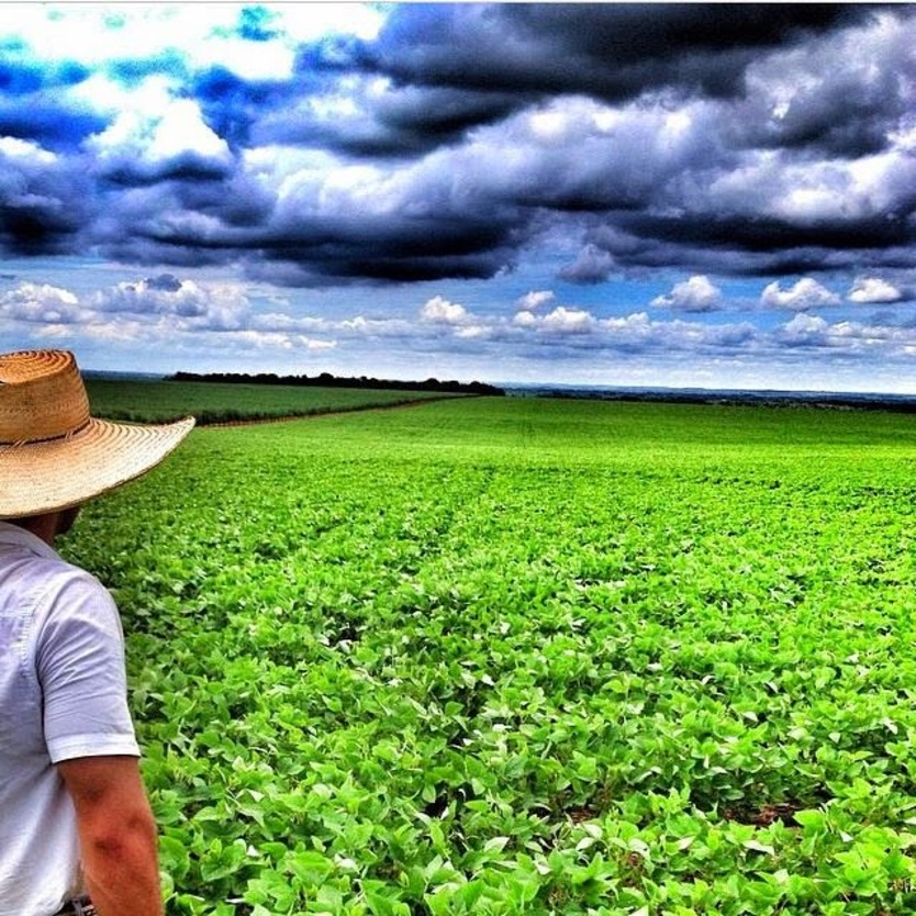 Minha forma��o como engenheiro agr�nomo