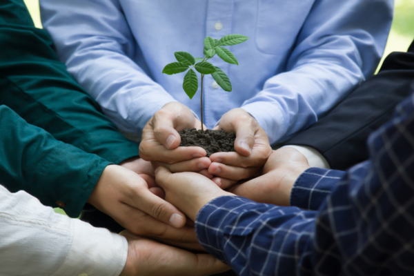 Otimiza��o de sites para engenheiros agr�nomos